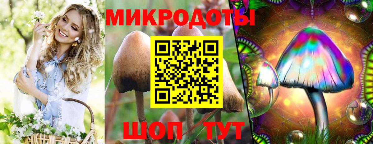 купить   Псилоцибиновые грибы мицелий  Галлюциногенные грибы Magic Shrooms  Вход с VPN  Старая Купавна 